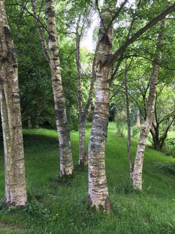 Le Pont De Benneville Cahagnes エクステリア 写真